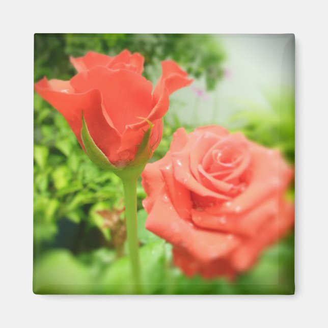 Imã Flores de Rosa Romântica (Frente)