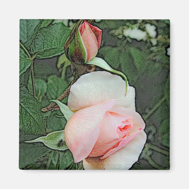 Imã flores de rosa rosa (Frente)
