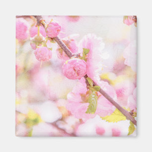 Imã Flores de sakura cor-de-rosa - flor de cereja japo