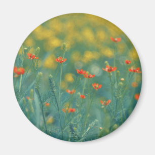 Imã Flores De Verão (Campo Floral) (Flores Vermelhas)