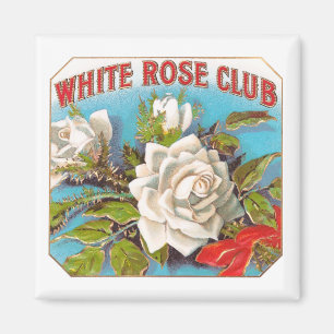 Imã Flores do clube do rosa branco do vintage