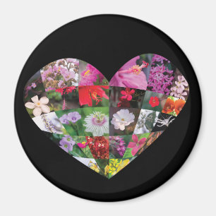 Imã Flores_do_Coração