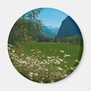 Imã Flores do primavera de Noruega
