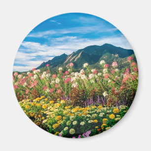 Imã Flores e Flatirons