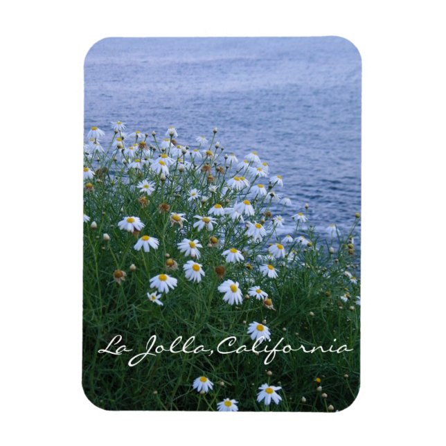 Ímã Flores e oceano em La Jolla (Vertical)