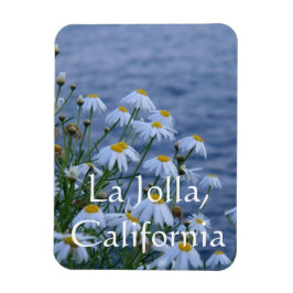 Ímã Flores e Oceano em La Jolla, Califórnia