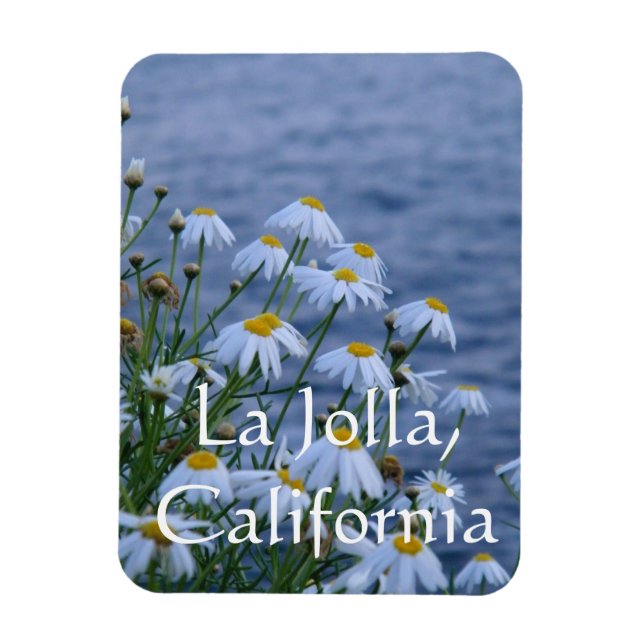 Ímã Flores e Oceano em La Jolla, Califórnia (Vertical)