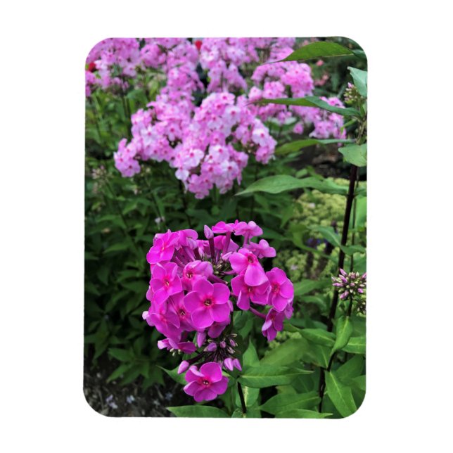 Ímã Flores em Chateau Morrisette Winery, Floyd, VA (Vertical)