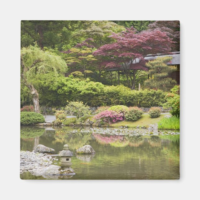 Imã Flores em flor no Jardim Japonês, (Frente)