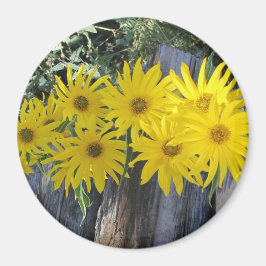 Imã Flores en mi hierbas " flores em minhas ervas dani