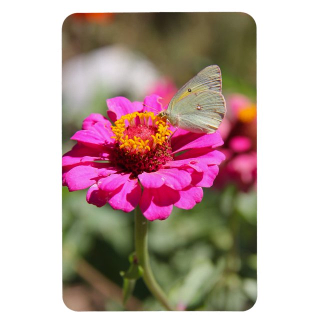 Ímã Flores en mi hierbas " flores em minhas ervas dani (Vertical)