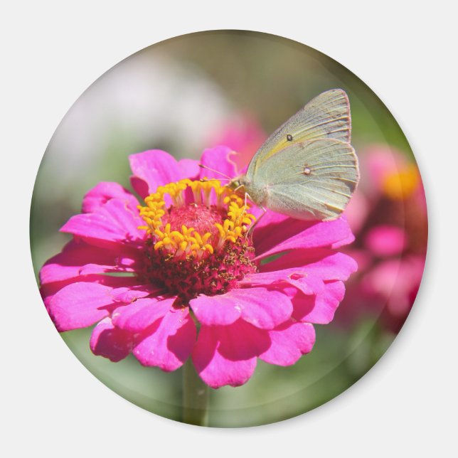 Imã Flores en mi hierbas " flores em minhas ervas dani (Frente)