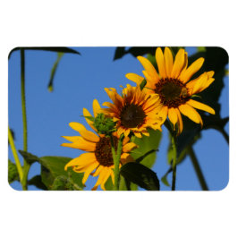 Ímã Flores en mi hierbas " flores em minhas ervas dani