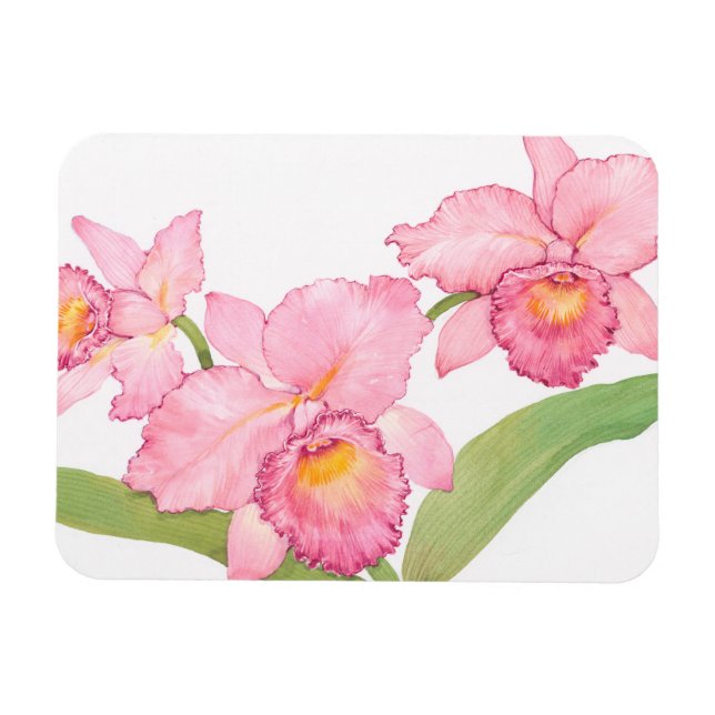 Ímã Flores Exóticas De Aquarela Rosa (Horizontal)