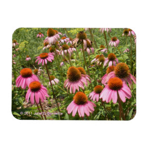 Ímã Flores Flexi Magnet