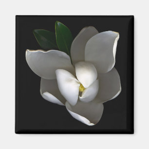 Imã Flores Flor Solteiro Magnolia Branca