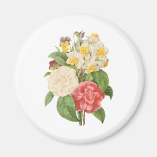 Imã Flores Florais Antigas Camélia Narciso por Redoute