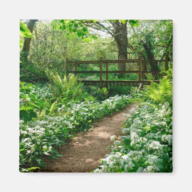 Imã Flores | Flores brancas na floresta (Frente)