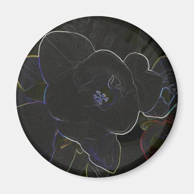 Imã flores freesia esboçadas (Frente)