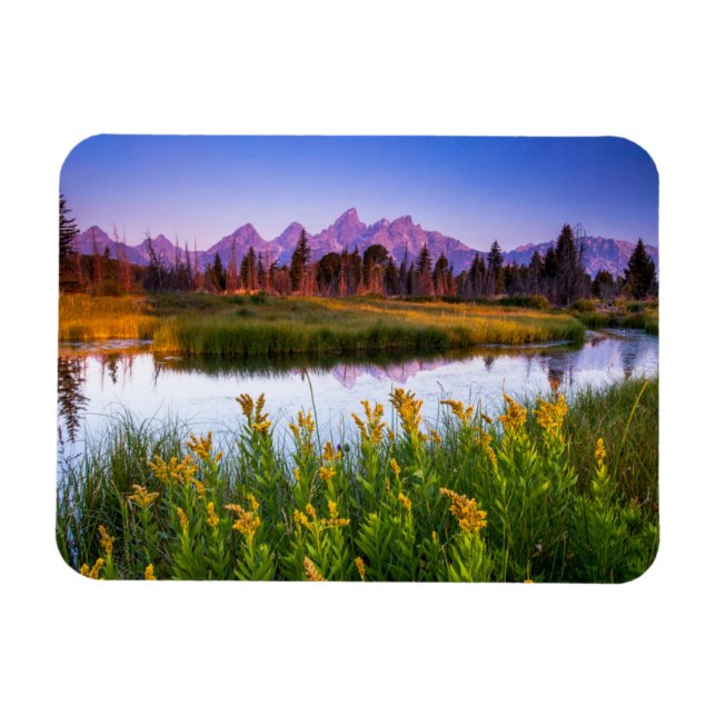 Ímã Flores | Grand Teton National Park, Wyoming (Horizontal)