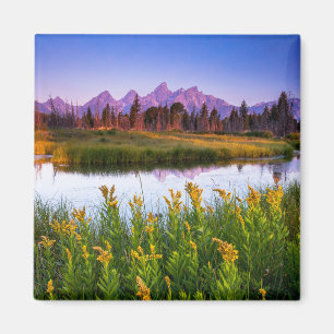 Imã Flores Grand Teton National Park, Wyoming