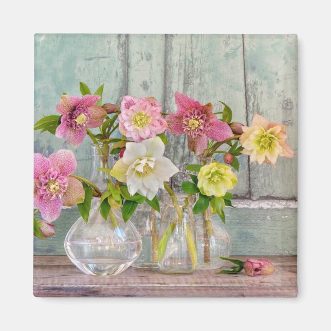 Imã Flores | Hellebores em Vases (Frente)