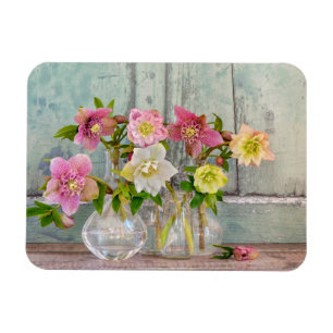 Ímã Flores Hellebores em Vases