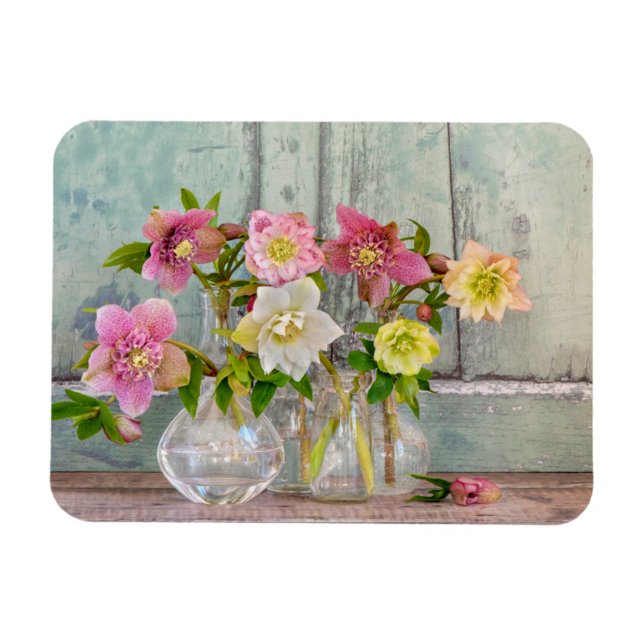 Ímã Flores | Hellebores em Vases (Horizontal)