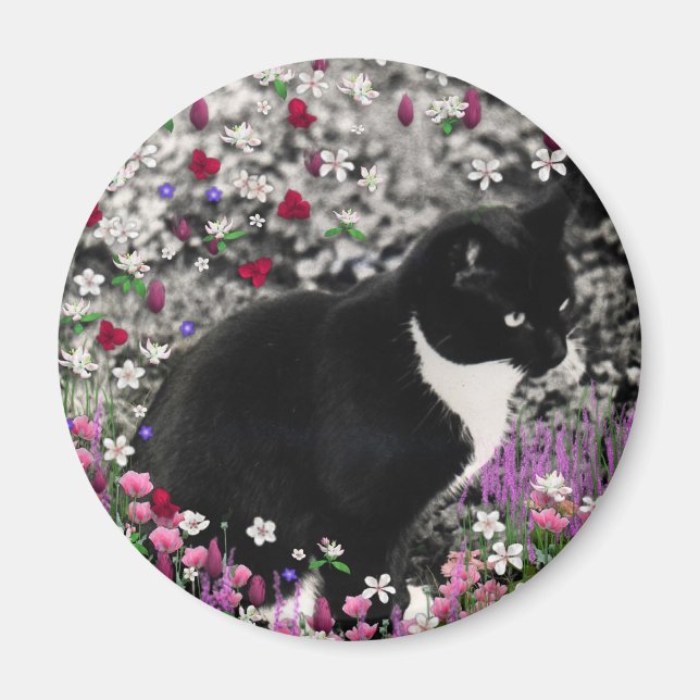 Imã Flores II - Gato Tux Kitty (Frente)