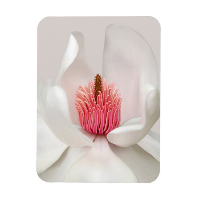 Ímã Flores | Magnésia Branca (Vertical)