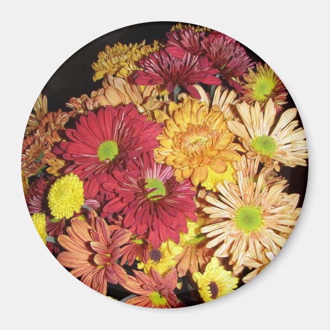 Imã Flores, Magnet (Frente)