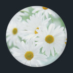 Imã Flores margaridas<br><div class="desc">Águas brancas em uma luz suave.</div>