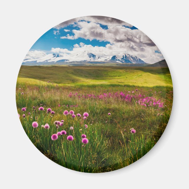 Imã Flores | Montanhas Altai, Sibéria, Rússia (Frente)