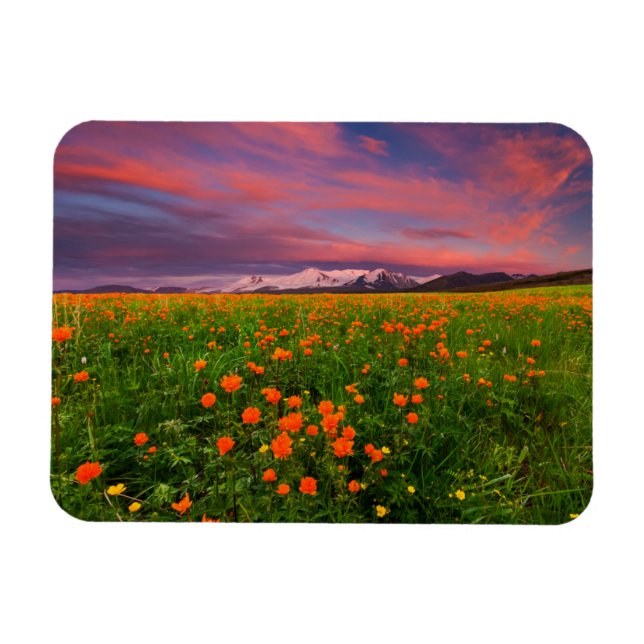 Ímã Flores | Montanhas com paisagens de flores silvest (Horizontal)