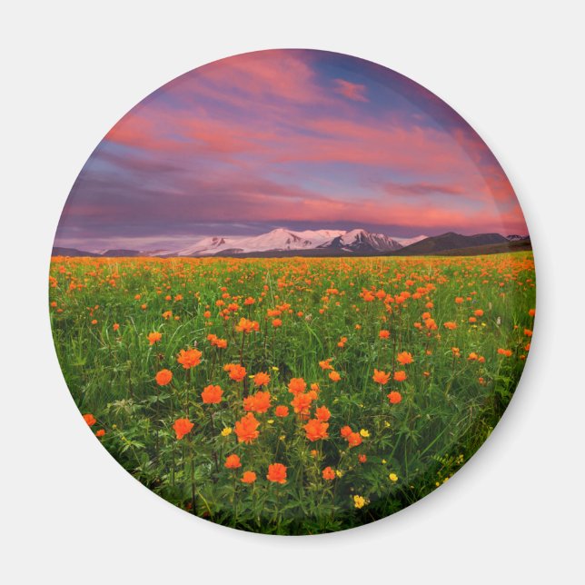 Imã Flores | Montanhas com paisagens de flores silvest (Frente)
