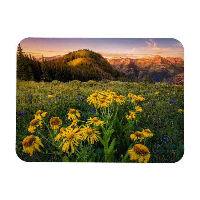 Ímã Flores | Mountain Meadow Brested Colorado (Horizontal)