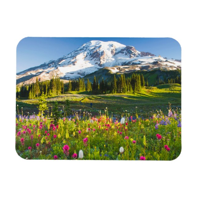 Ímã Flores | Mt. Rainier Wildflower (Horizontal)