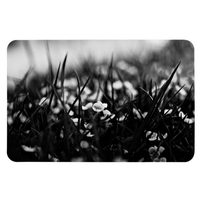 Ímã Flores no campo em primavera (Horizontal)