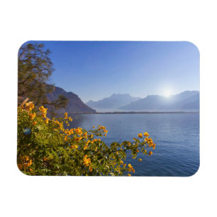 Ímã Flores no lago geneva, Montreux, suiça
