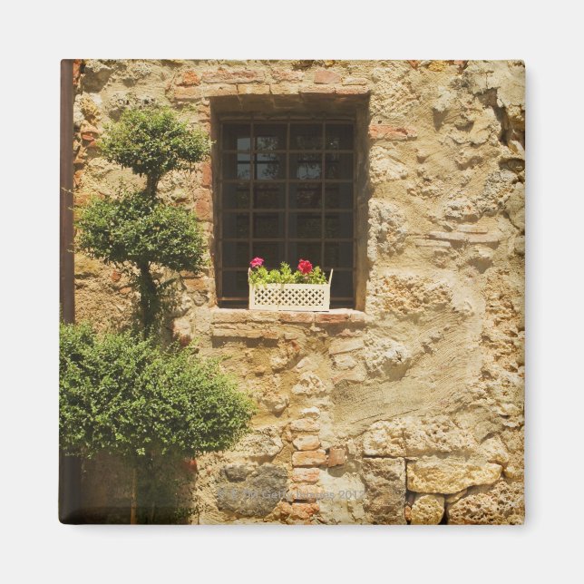 Imã Flores numa caixa de janela numa parede de janela, (Frente)