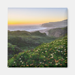 Imã Flores   Papais noeis Cruz Califórnia