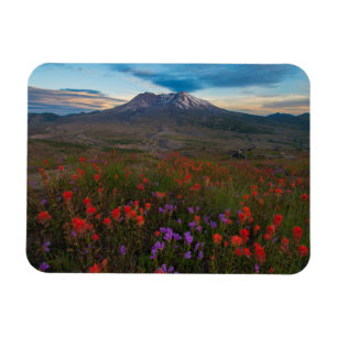 Ímã Flores   Pincel-da-índia