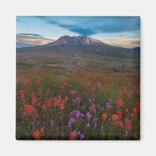 Imã Flores   Pincel-da-índia