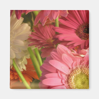 Imã Flores rosa
