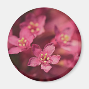 Imã Flores Rosa Bonitas