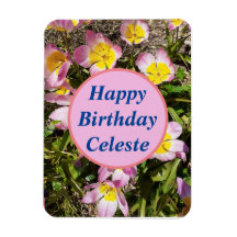 Flores Rosa e Amarelo Aniversário