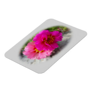 Ímã Flores rosa no sol