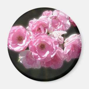 Imã Flores Rosa Padrão, Magnete Arredondado De 2¼ Po