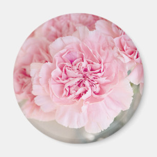 Imã Flores Rosa Rosa Rosa Rosa Rosa Rosa Rosa Rosa Ros