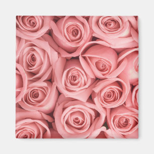 Imã Flores Rosas rosadas